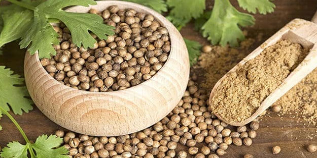 Kandaki zehri temizliyor! Kişniş kürünün muhteşem etkisi