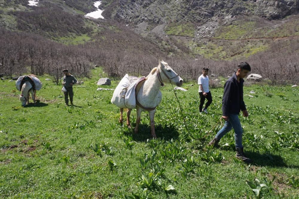 Kandil bu yüzden CHP’yi istiyor! PKK’lıların cirit attığı yere bir de şimdi bakın