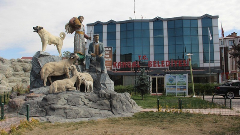 Kangal Belediyesi’ne bağlı gayrimenkullerin satış ve kiralama ihalesi yapılacak