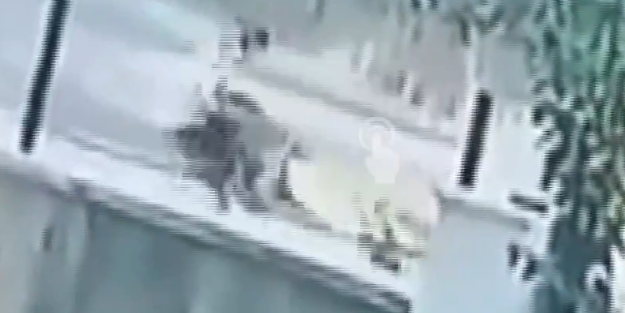 Kangal cinsi köpek zincirlerini kırarak çocuğa saldırdı! O anlar böyle görüntülendi