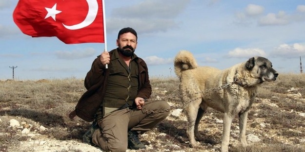 Kangallar Afrin'e terörist avlamaya gidiyor