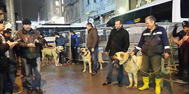 Kangallar Hollanda Konsolosluğu önünde!