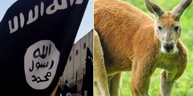 Kanguruyu canlı bomba yapan DAEŞ'ci yakalandı