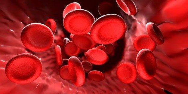 Kanı temizleyen besinler