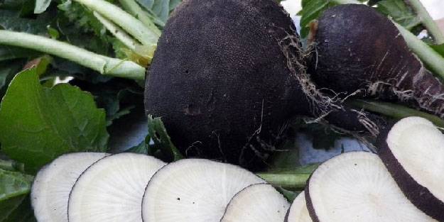 Kanı temizliyor ve öksürüğü anında kesiyor! Kanı temizleyen besinler