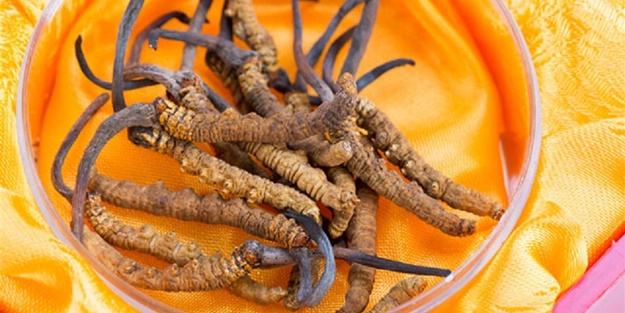 Kanser hastaları her gün bunu tüketmeli!