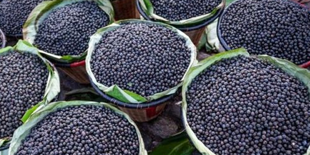 Kanser hastaları için şifa kaynağı! Bu meyvenin öyle faydası var ki: Yüzyıllardır kullanılıyor! Güçlü antioksidan kaynağı