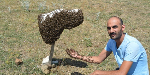Kanser hastası oğlunu bal ile tedavi eden baba, arıcılığı meslek edindi