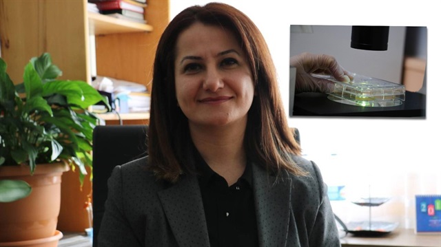 Kanser hücrelerini öldüren 3 yeni bileşik bulundu