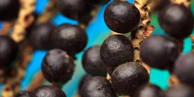 Kanser hücrelerini yok etmede en zaferli olay gıda! Ani açılıkta sağlığınız böyle korunacak! Hiç bilmedikleriniz...