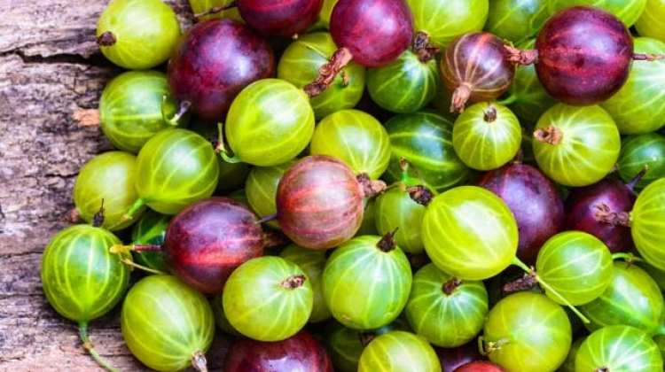 Kanser hücrelerinin yayılması önlüyor!