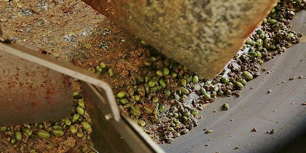 Kanser için bire bir! Kilosu ise...