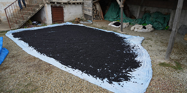 Kanser karşıtı süper meyveye, süper fiyat!