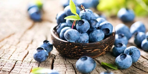 Kanser olmak istemiyorsanız yaban mersini tüketin