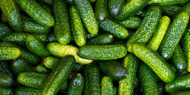 Kanser riskini azaltan, Antioksidan kaynağı son kornişonlar kapışılıyor