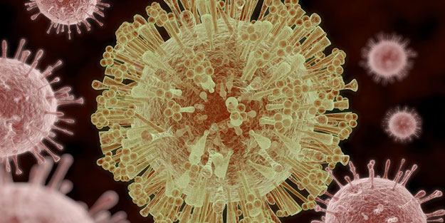 Kanser riskini azaltan sebzeler