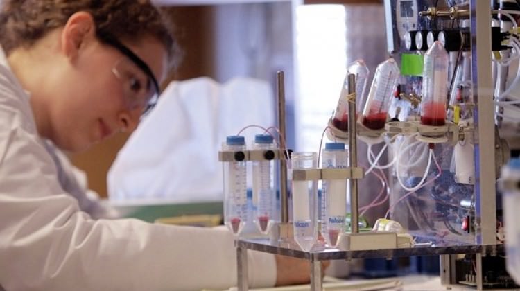 Kanser tarih mi oluyor? Tedavi yöntemi...