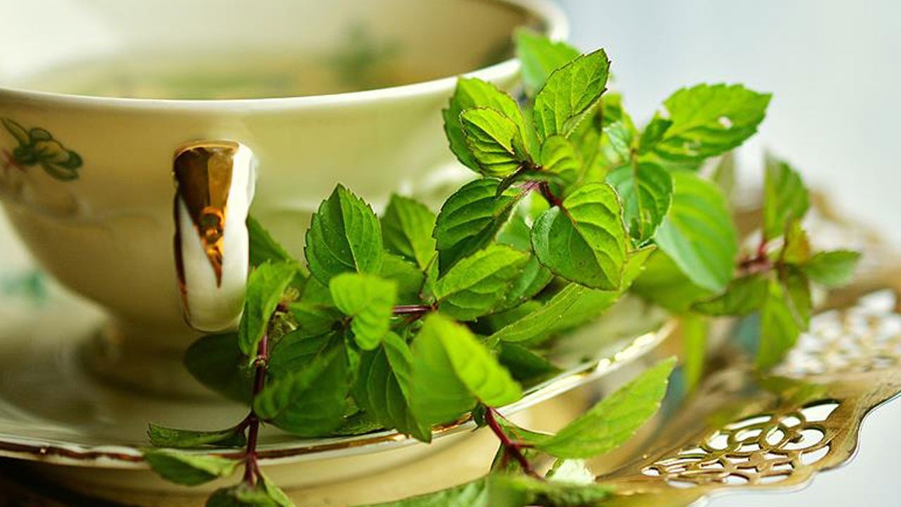 Kanser tedavisinde bitkilerin yeri var mı? Uzman isimden ezber bozan açıklama