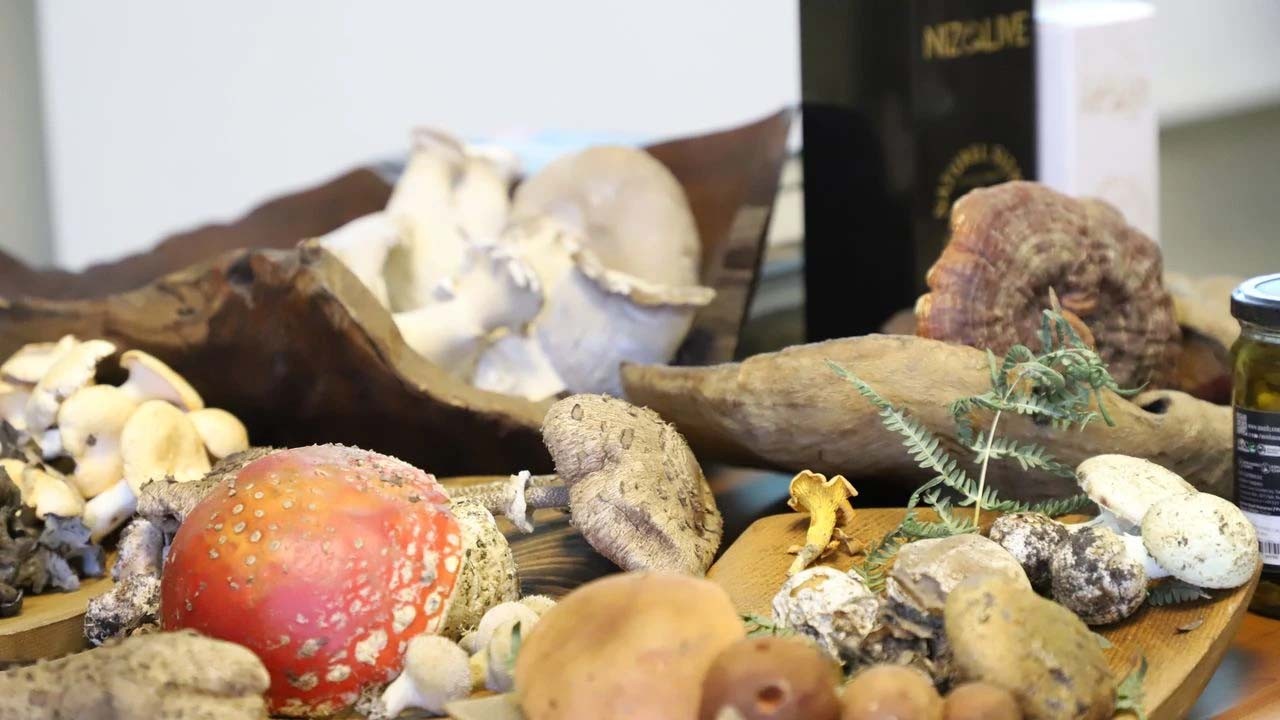 Kanser tedavisinde umut ışığı: Önemi çok büyük!