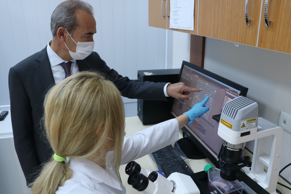 Kanser tedavisinde yapay zeka uygulaması, Türk bilim adamları geliştirdi 