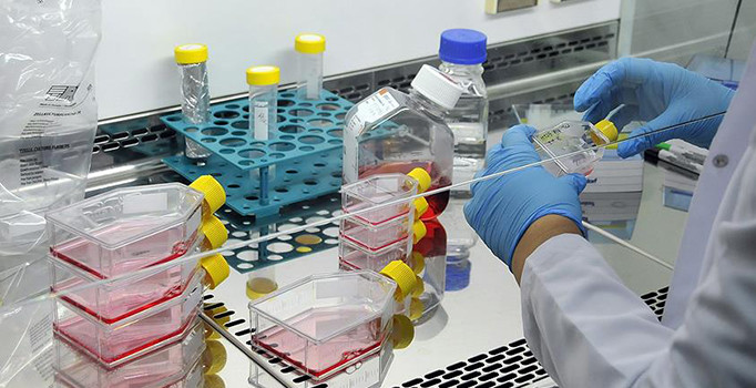 Kanser tedavisinde yeni yöntem: İmmünoterapi