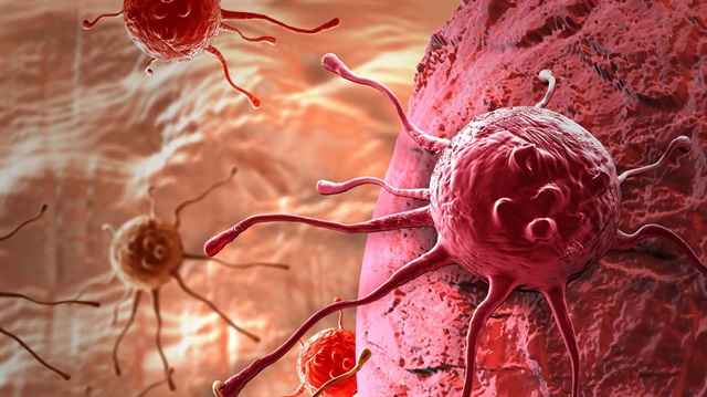 Kanserde yeni bir umut