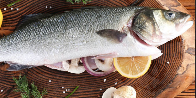 Kansere bile iyi geliyor! İşte muhteşem balık