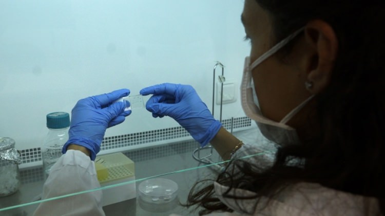 Kansere çare arıyordu! Ürettiğiyle iş kadını oldu!