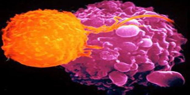 Kansere karşı 3 önemli uyarı