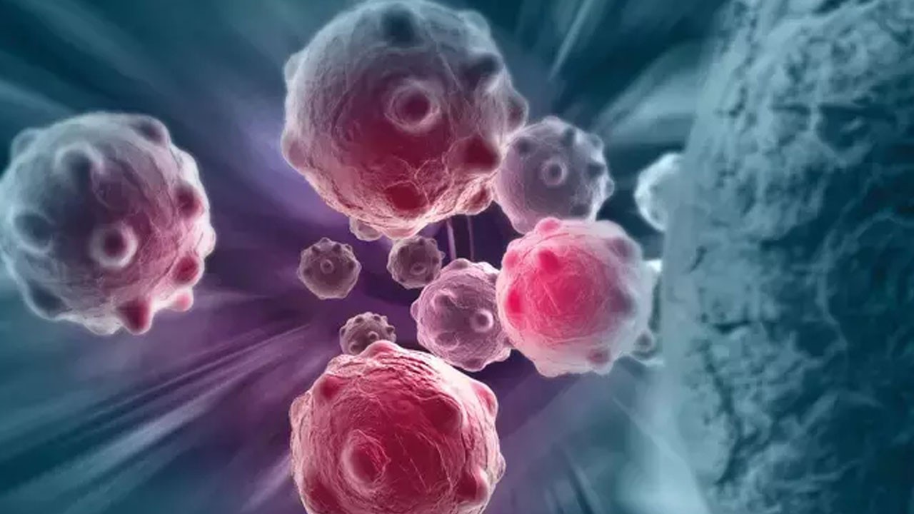 Kansere karşı 6 iyi şey: Uzmanlar faydalı besinleri sıraladı