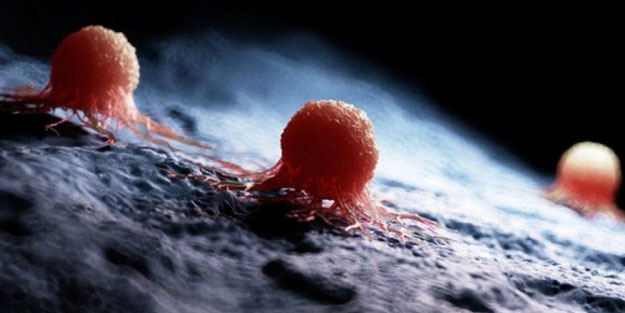 Kansere karşı koruyan en iyi 25 besin