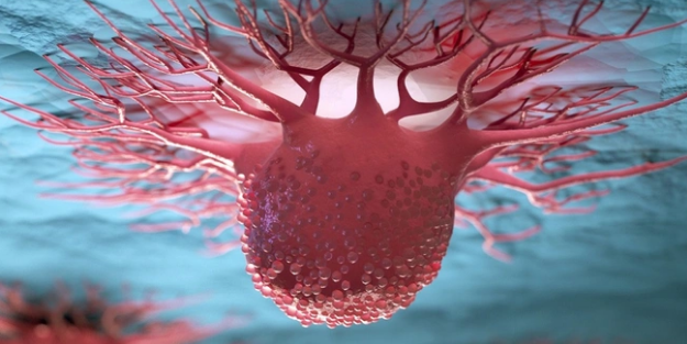 Kansere karşı yeni umut: Hastalar iyileşiyor