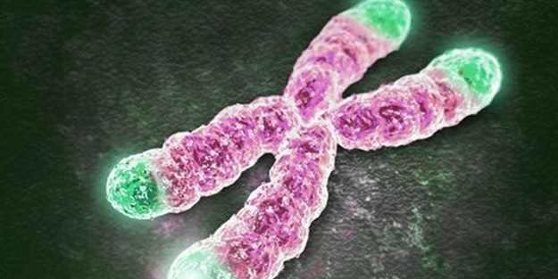 Kanseri 13 yıl önceden tespit edecek test geliştirildi