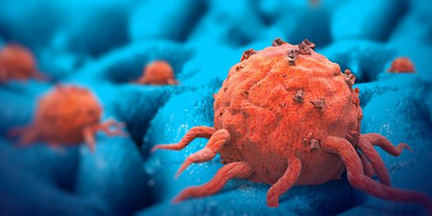 Kanseri önleyen 5 şifa dolu gıda