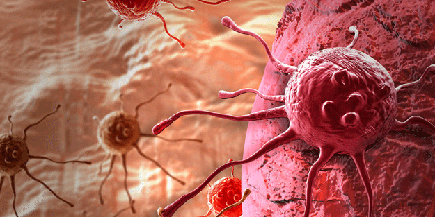 Kanserin en büyük düşmanı