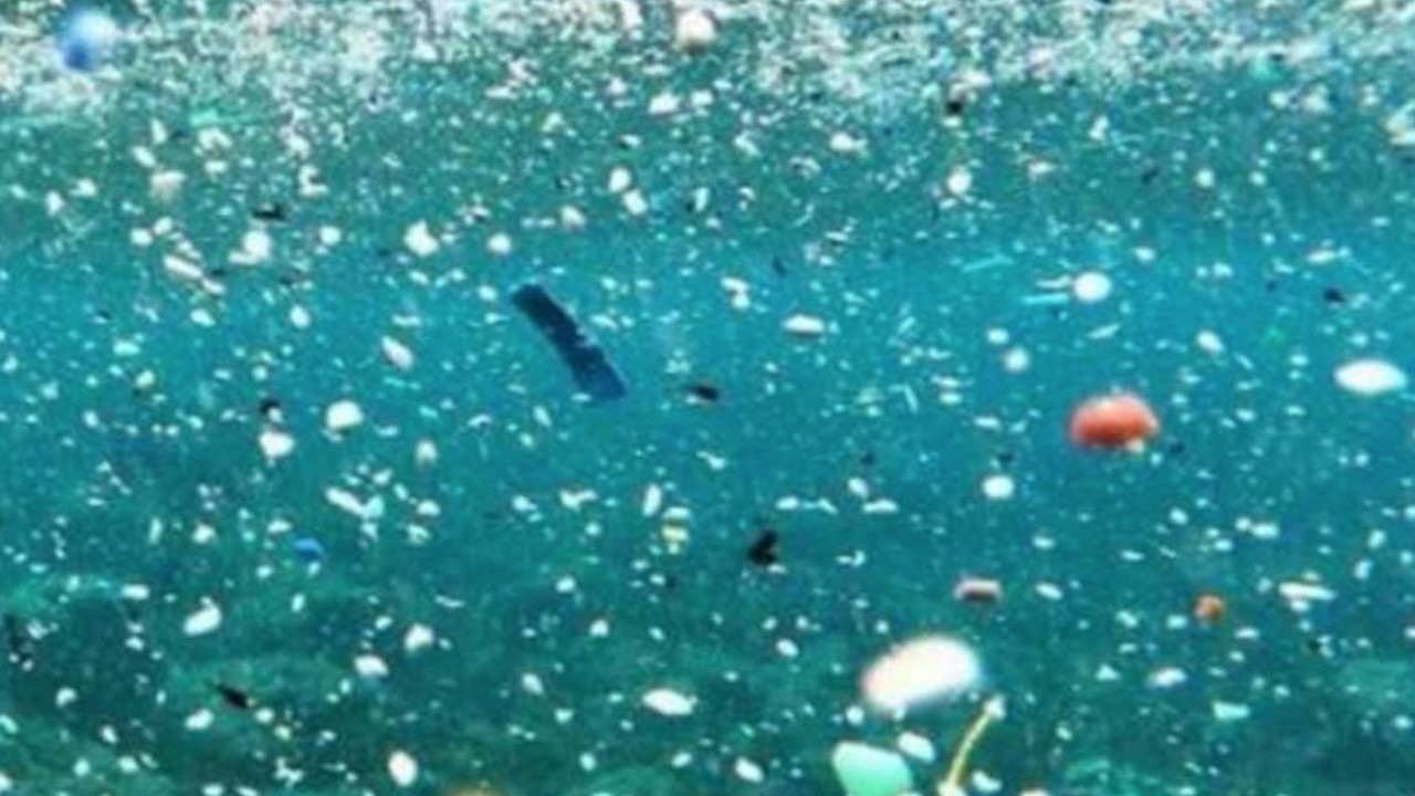  Kanserle mücadelede su içindeki mikroplastikler temizlecek: Yüzde 90'ı başardı 