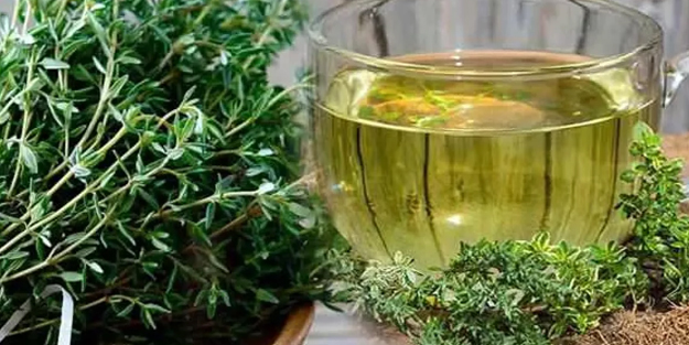 Kanserli hücreyi intihara sürükleyen süper baharat! Hastalık öncesi dikkat: Sonrası için toplu savaş veriyor