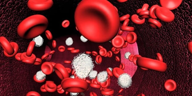 Kansızlığın belirtileri, nedenleri..