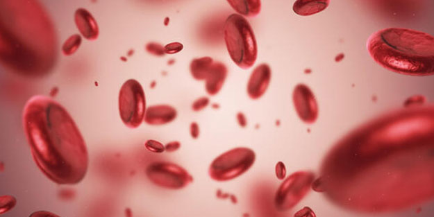 Kansızlık hangi belirtilerle ortaya çıkıyor? Kansızlığa iyi gelen besinler...