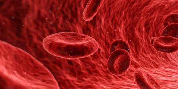 Kansızlık ve demir eksikliği: Demirde ıspanağı sollayan bitkisel kaynak