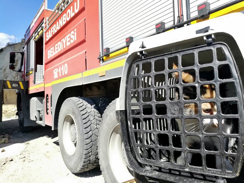 Kanyon köprünün ayaklarında mahsur kalan yavru kedi kurtarıldı 