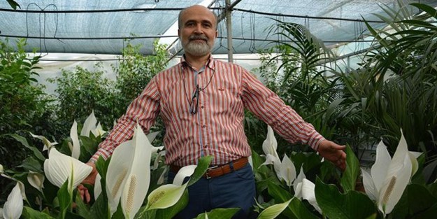 Kapalı ortamlarda fazla vakit geçirenler dikkat