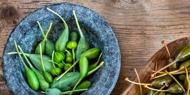 Kapari nedir? Kaparinin faydaları nelerdir? Neye iyi gelir? Avrupa'da kullanılıyor! Hastalıkları etkisiz hale getirdi