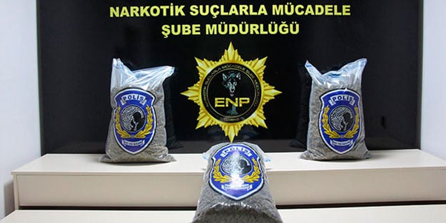 Kapıkule'de uyuşturucu satıcılarına yönelik operasyon: 3 gözaltı
