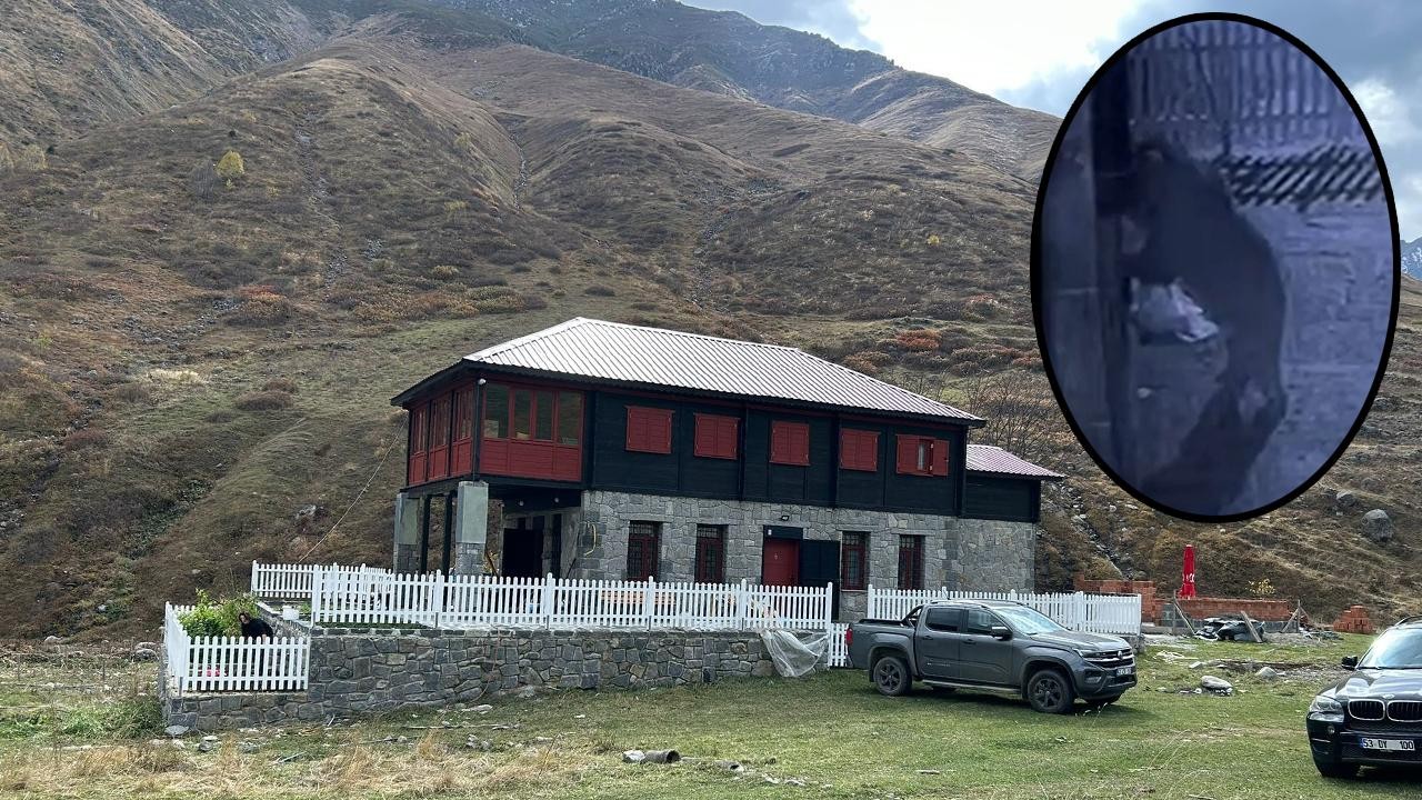 Kapıyı zorlayan hırsız ayı çıktı