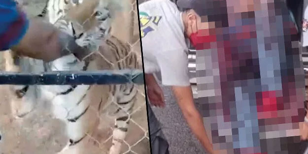 Kaplan bakıcısını öldürdü