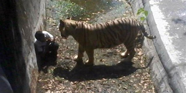 Kaplan saldırısına uğrayan genç yaşamını yitirdi