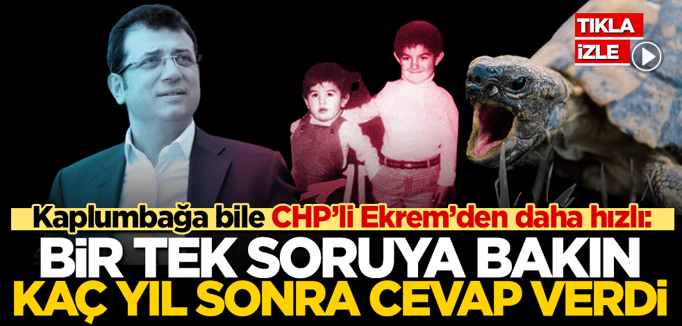 Kaplumbağa bile CHP’li Ekrem’den hızlı! Bir soruya tam 3 yıl sonra cevap vermişler!