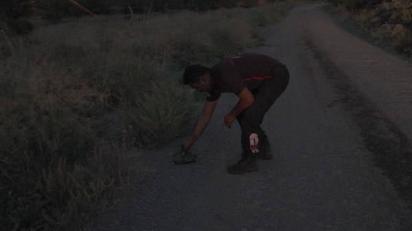 Kaplumbağa yanmaktan böyle kurtarıldı