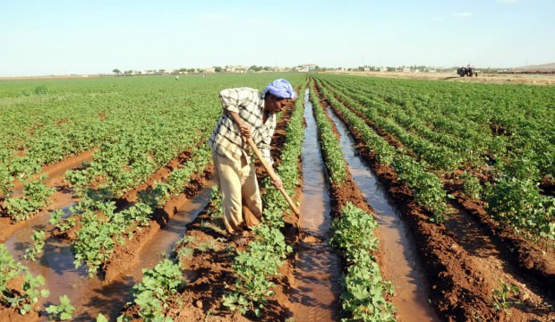 Kapsam genişliyor! Çiftçiye nefes aldıracak